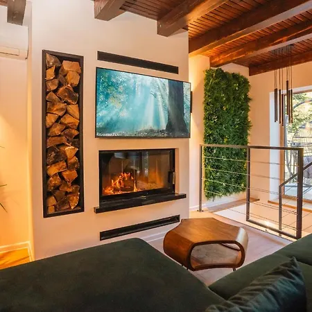 The Magic Forest - & Zone Platak