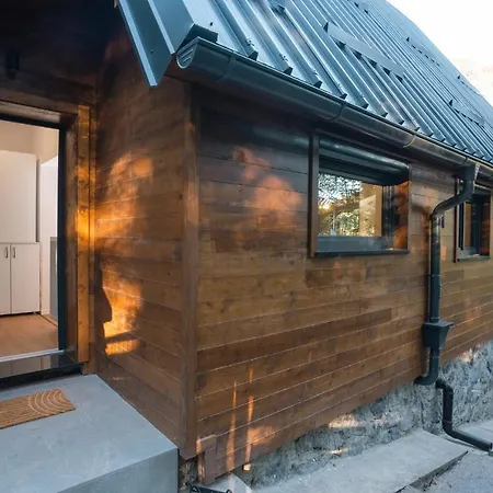 The Magic Forest - & Zone Platak * Soboli