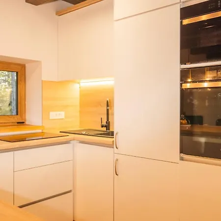 The Magic Forest - & Zone Platak