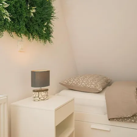 The Magic Forest - & Zone Platak