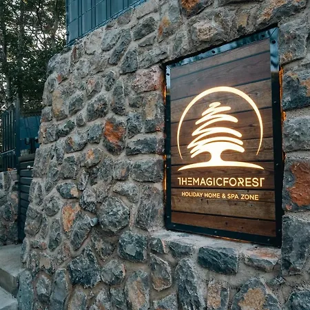 The Magic Forest - & Zone Platak Soboli