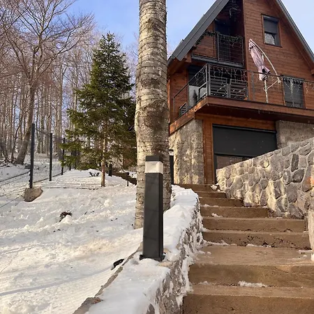 The Magic Forest - & Zone Platak * Soboli