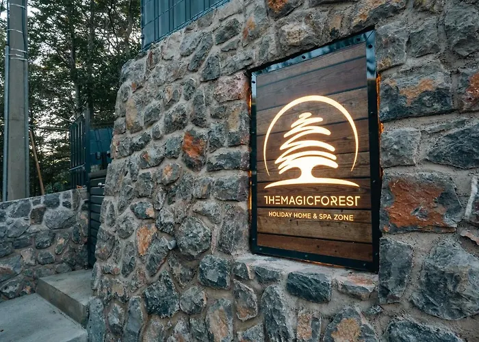 The Magic Forest - & Zone Platak Soboli