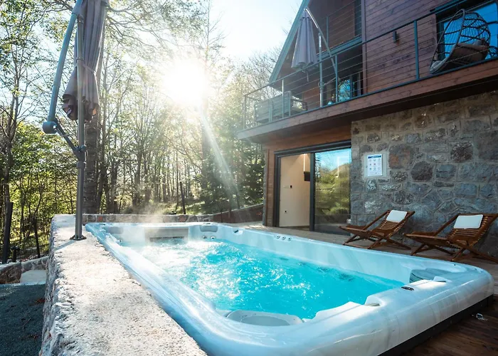 The Magic Forest - & Zone Platak *