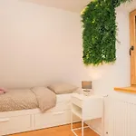 Chalet The Magic Forest - & Zone Platak Soboli