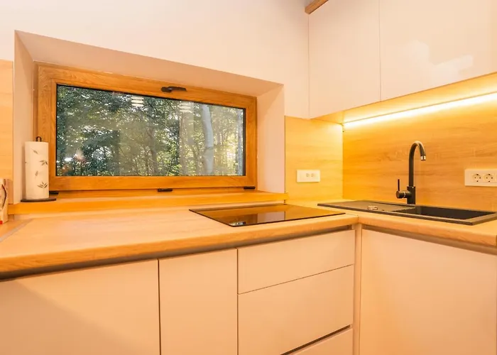 The Magic Forest - & Zone Platak Alpehytte *